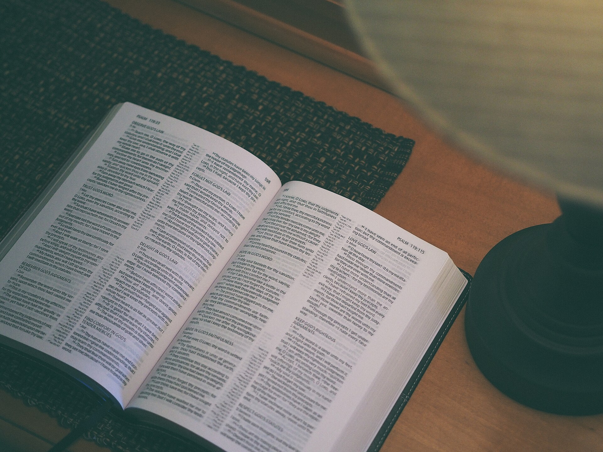 Open book being read in soft evening light