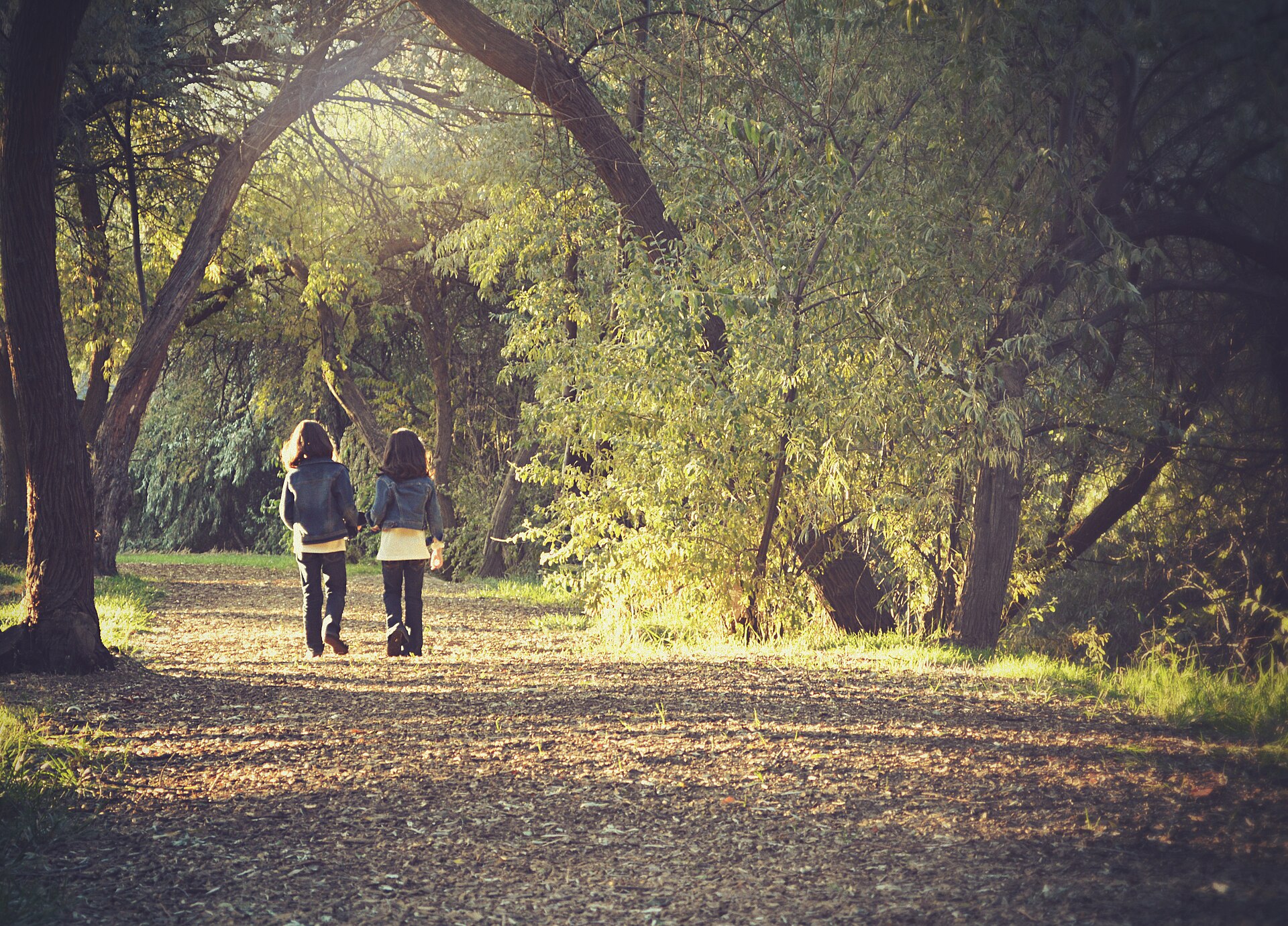 Children walking together along a leafy park path