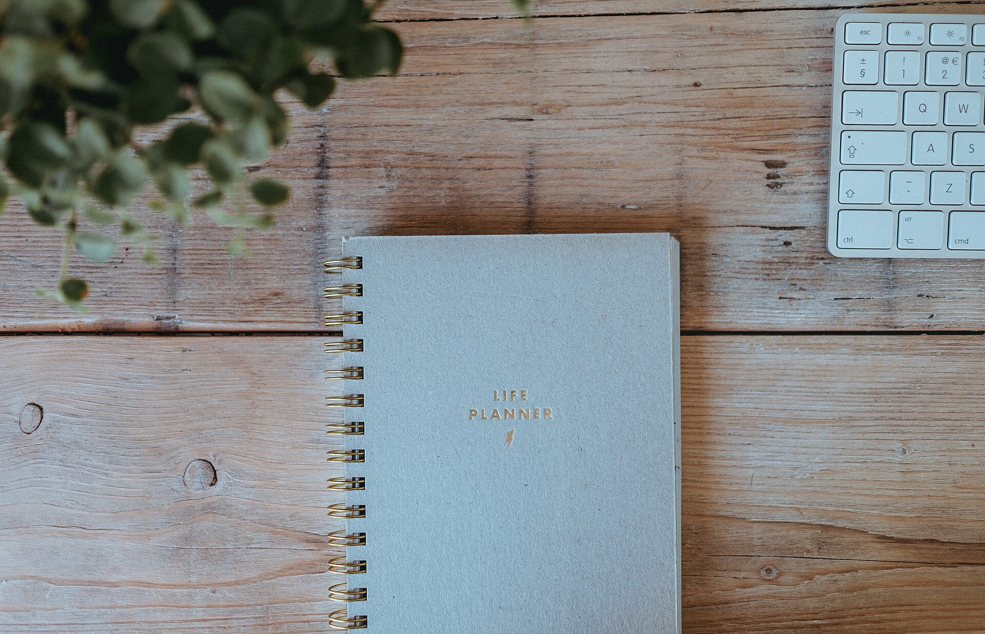 Open weekly planner ready for setting priorities
